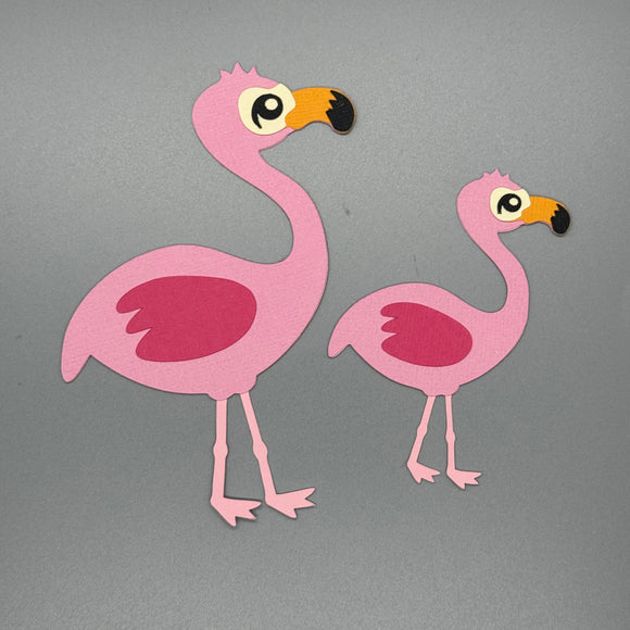 Flamingos